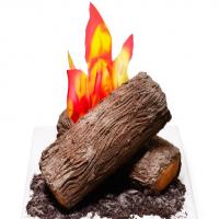 Campfire Cake image