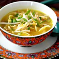 Chicken Noodle Soup III_image