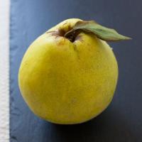 Quince Syrup Recipe_image