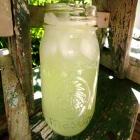 Lemonade Made With Stevia_image