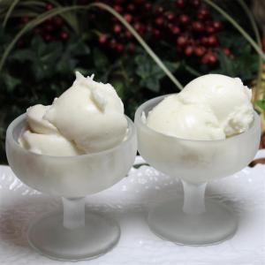 Refreshing Coconut Lime Sorbet_image