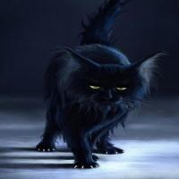 Black Cats as Witches' Familiars_image