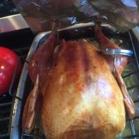 Brining and Cooking the Perfect Turkey with Delicious Gravy image