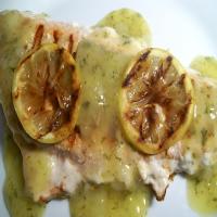 Grilled Lemon-Stuffed Salmon Steaks With Lemon-Dill Sauce_image
