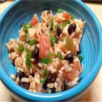 Salsa Rice with Chicken and Black Beans image
