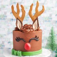 Magical reindeer cake_image