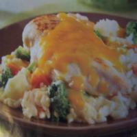 CHEESY, RICE & CHICKEN, top of stove skillet dish._image
