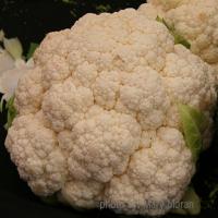 Roasted cauliflower with parmesan Recipe - (4.5/5)_image