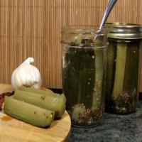 Marybelle's Polish Dill Pickles Recipe - (4.2/5)_image