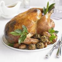 Saffron roast turkey_image