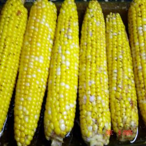 Fresh BBQ Corn With Honey Butter_image