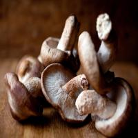 Mushroom and Greens Gratin image
