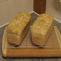 Gluten-Free White Bread - Almost Supermarket Style! image