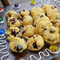 Easy Thanksgiving Cookies_image