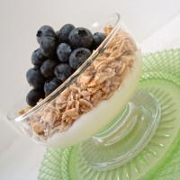 Blueberry Granola Yogurt_image