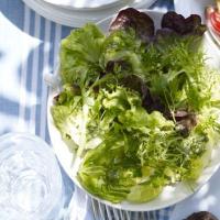 Garden salad image