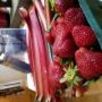 CERTO® Strawberry-Rhubarb Jam image