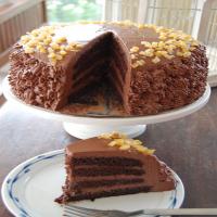 Orange Chocolate Ganache Cake_image