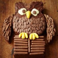 Chocolate owl cake image