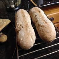 Easy Whole Wheat Malted Barley Bread image
