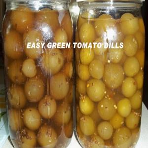 EASY GREEN TOMATO DILLS image