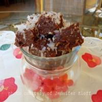 Low Carb Chocolate Coconut Bars Recipe - (4.5/5)_image