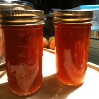 Brandy and Spice Peach Preserves - Lisa Sizemore image