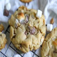 OMG Peanut Butter Marshmallow Cookies_image