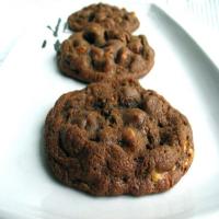 Chocolate Peanut-Butter-Butterscotch Cookies image