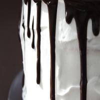 Chocolate Shadow Cake_image