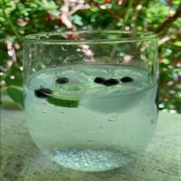 Juniper Lime Gin and Tonic_image