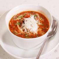 Italian Chicken Stoup with Porcini, Portobello and Peppers image