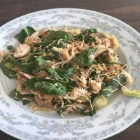 June's Thai Salad with Turkey_image