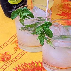 Lime-Oncello Spritzers With Mint_image