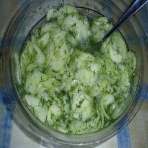 Gurken Salat (German Cucumber Salad)_image