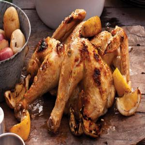 Campfire Chicken Under a Brick with Lemons_image