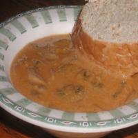 Low Carb Hungarian Mushroom Soup image