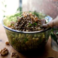 Lentil Salad With Walnut Oil image