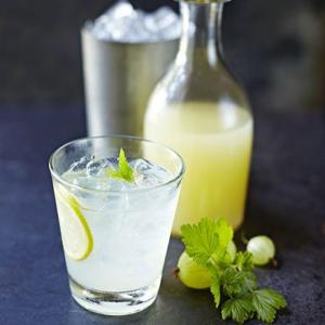 Gooseberry & mint lemonade_image