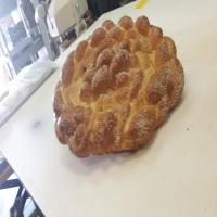 Sesame Seed Challah (Egyptian Holiday Bread)_image