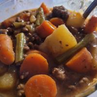 Ground Beef and Vegetable Stew_image
