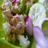 Catherine Ann's Enticing Tuna Salad - the Longmeadow Farm image