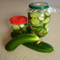 Pickled Lebanese Cucumber image