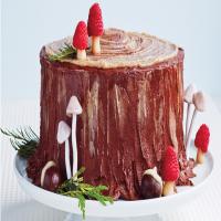 Yule-Log Layer Cake image
