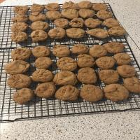 Ginger Snap Cookies_image