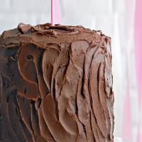 Double Chocolate Cake_image