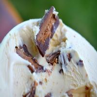 Ben & Jerry's Peanut Butter Cup Ice Cream Homemade Recipe - (4.1/5)_image