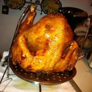 Deep Fried Turkey_image