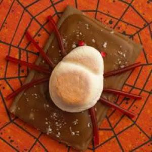 Fudgy, Spooky Spiders_image