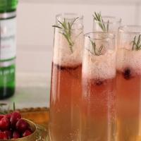 Cranberry-Rosemary Prosecco Float_image